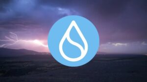 Sui Stablecoin pervedimai pasiekė 65 milijardus dolerių po mokesčio be dujų P